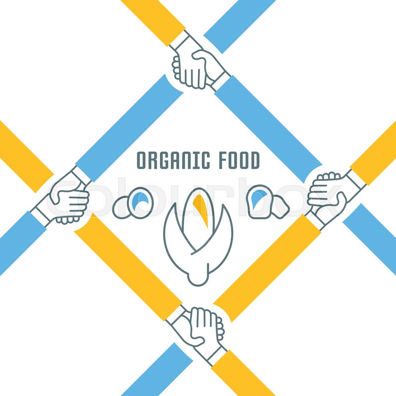 Line Illustration Of Organic Food Stock Vector Colourbox