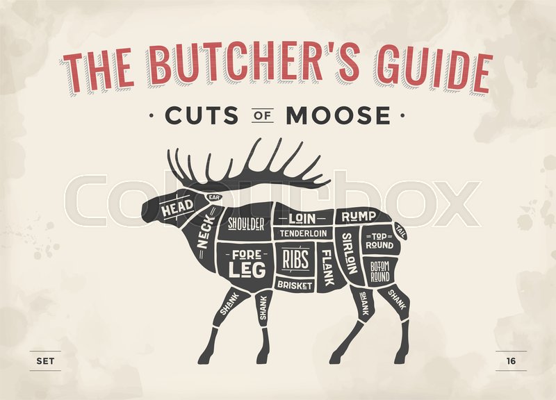 Cut of meat set. Poster Butcher diagram, scheme - Moose ... diagram of brisket 