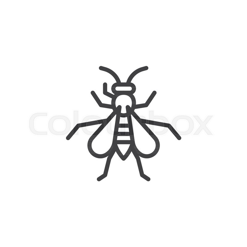 wasp insect line icon outline vector sign linear style pictogram