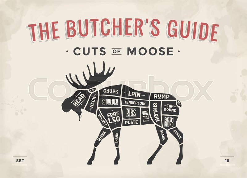 Cut of meat set. Poster Butcher diagram, scheme - Moose ... diagram of flank 