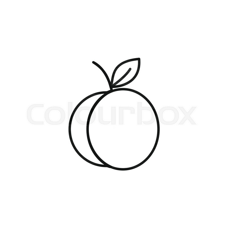 Apricot icon in outline style. Vector Stock vector Colourbox