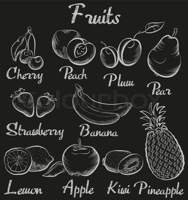 vintage fruit vector