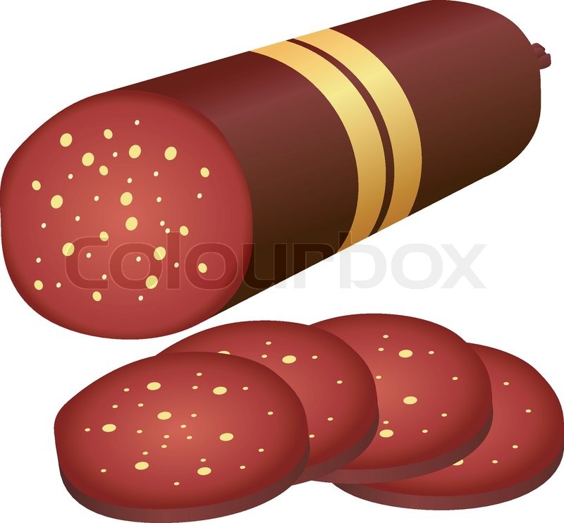 Salami. vector Stock vector Colourbox