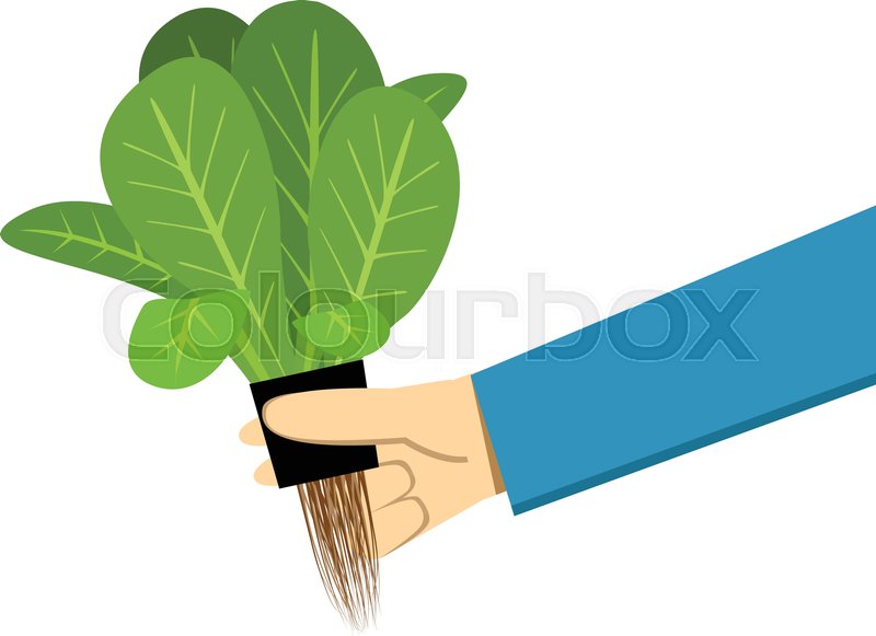 Farmer Show Hydroponics Vegetable On Stock Vector Colourbox