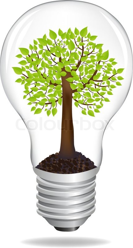 tree in light bulb eco concept isolated on white light bulb illustration