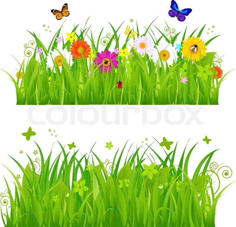 green grass with flowers and insects isolated on white background