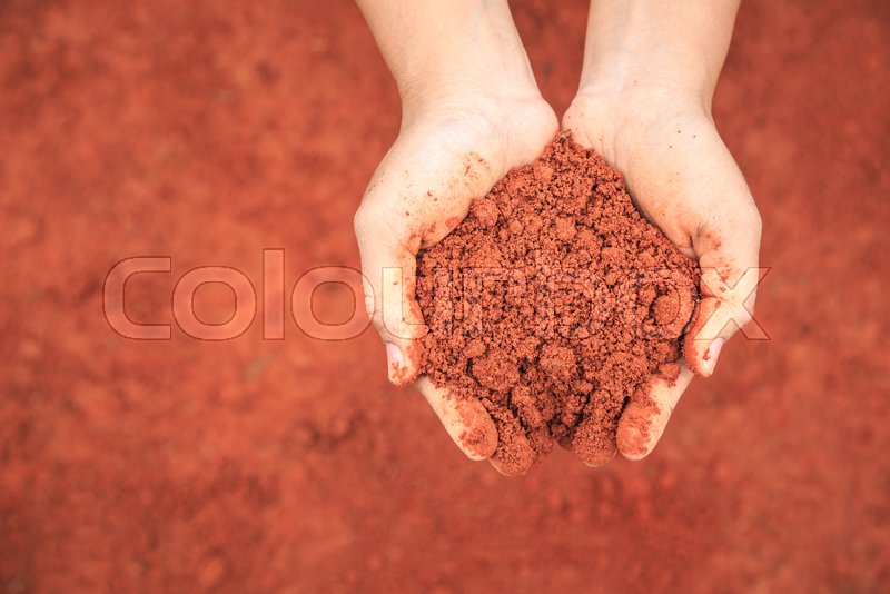 Close Up Hands Of People Holding Soil Stock Image Colourbox
