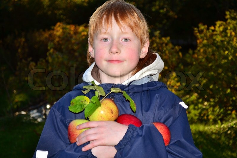 Red Haired Kid Holding Colorful Apples Stock Image Colourbox