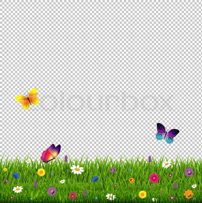 Grass Transparent Background In Grass And Flowers Transparent Background With Gradient Mesh Vector Illustration Stock Colourbox Grass Transparent Background In Grass And Flowers Transparent Background With Gradient Mesh Vector Illustration Stock Colourbox