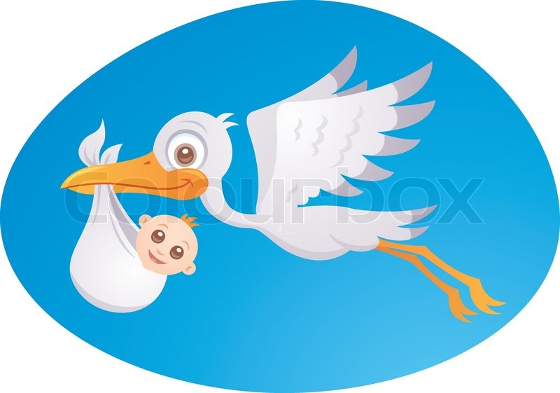 Vector cartoon illustration of a stork delivering a cute little newborn baby | Stock vector | Colourbox Vector cartoon illustration of a stork delivering a cute little newborn baby | Stock vector | Colourbox
