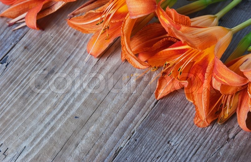Flowers on a wooden background | Stock image | Colourbox