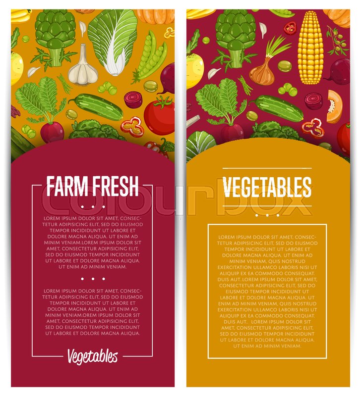 fresh vegetable farming flyers set stock vector retail flyers