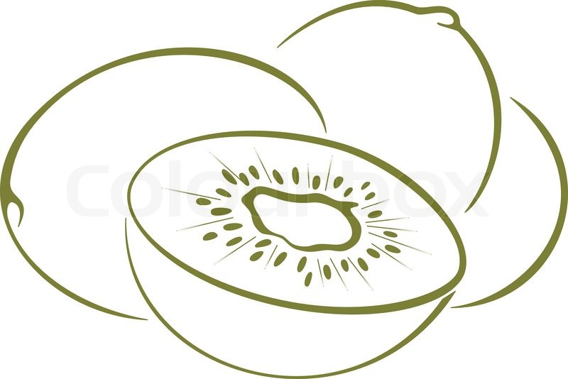 Line Drawing Kiwi : Food kiwi fruit green monochrome pictogram on a white