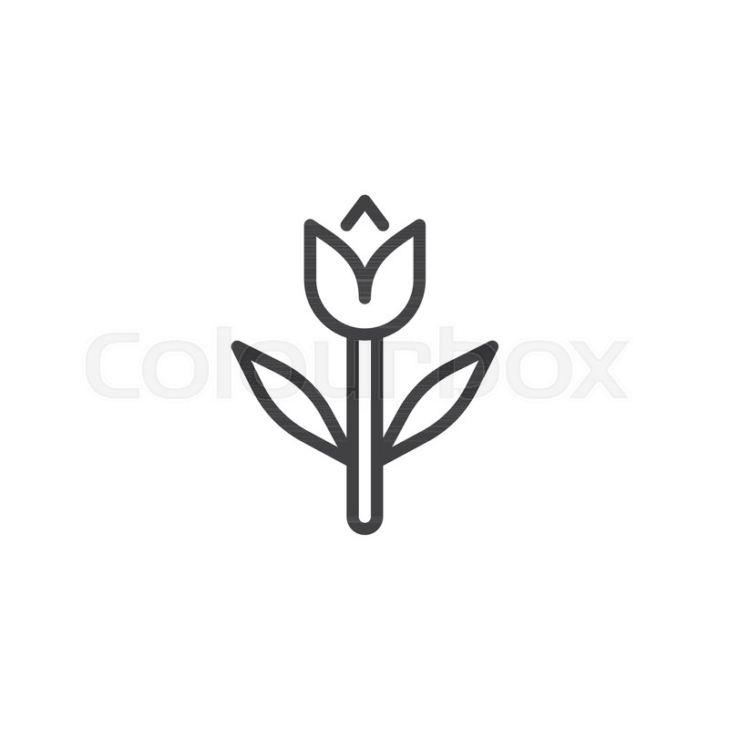 Simple Tulip Outline