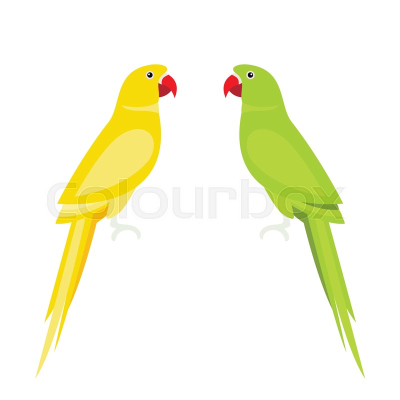 Cartoon Cute Parrot Large Parakeets Stock Vector Colourbox