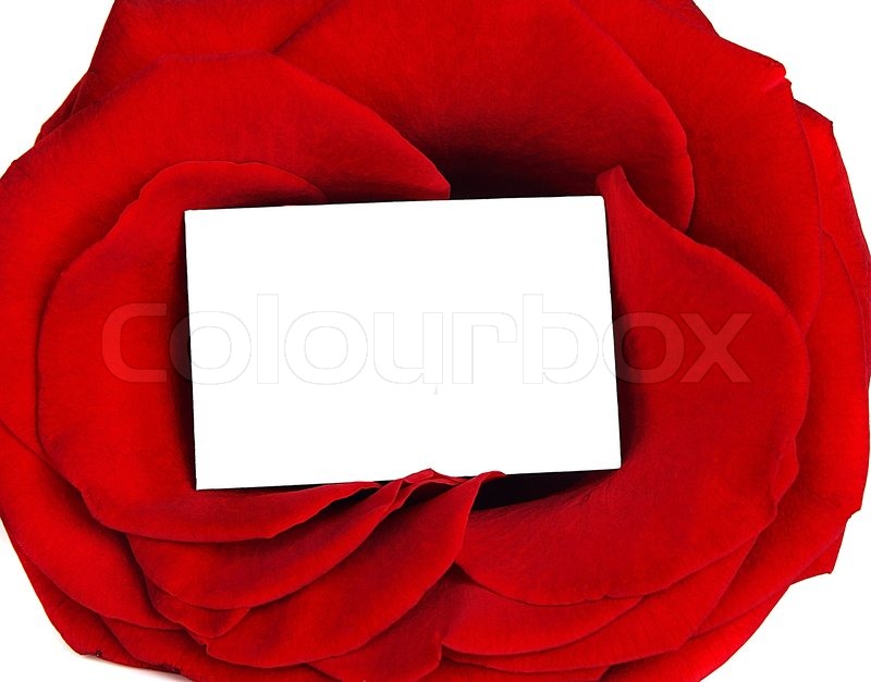 rose frame blank greeting card stock photo colourbox blank valentines day cards