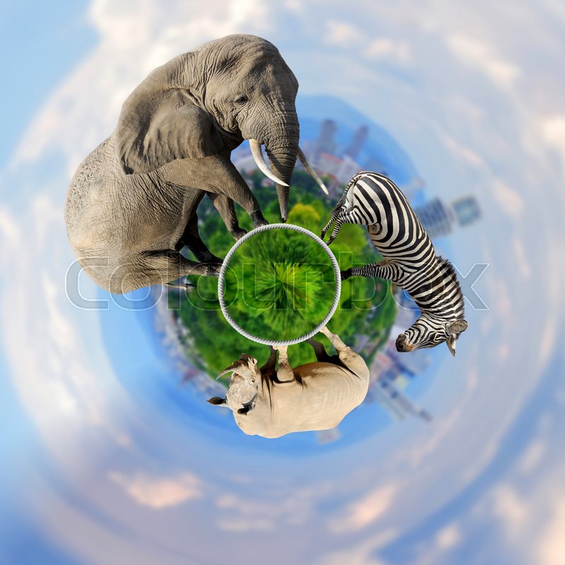 360 degree view of Elephant, zebra, rhino with the city of on the background | Stock image | Colourbox 360 degree view of Elephant, zebra, rhino with the city of on the background | Stock image | Colourbox