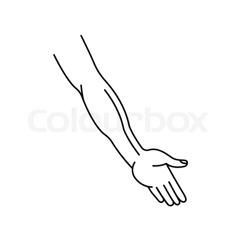 Hand icon. Outline hand vector icon | Stock vector | Colourbox