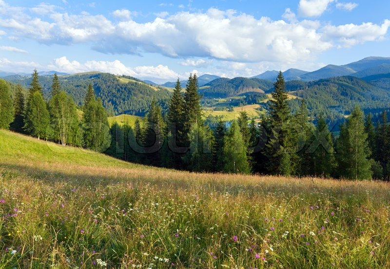 Summer Mountain Landscape With Flowering Grassland In Front Stock Image Colourbox