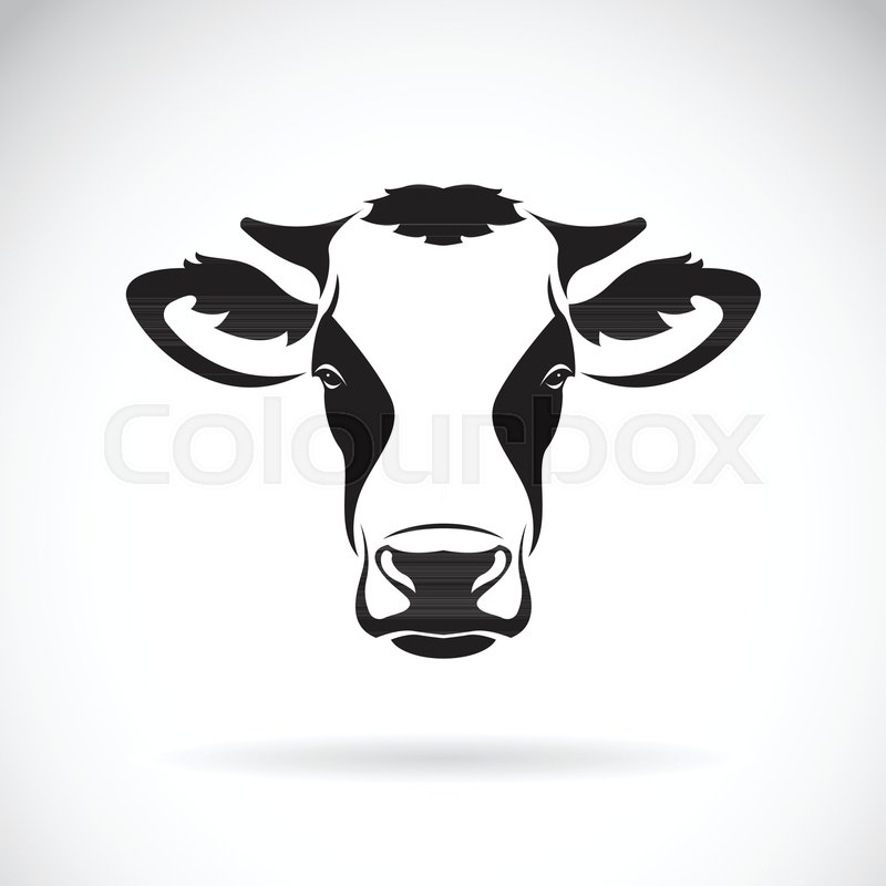 Vector of a cow head design on white | Stock vector | Colourbox