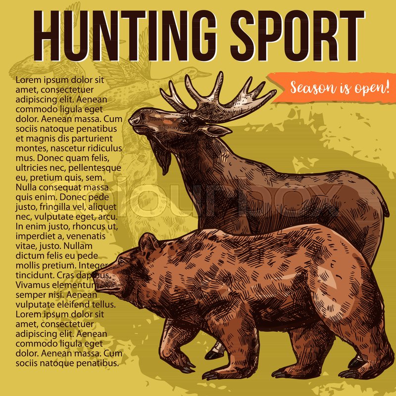 Hunting Sketch Poster With Wild Forest Stock Vector Colourbox