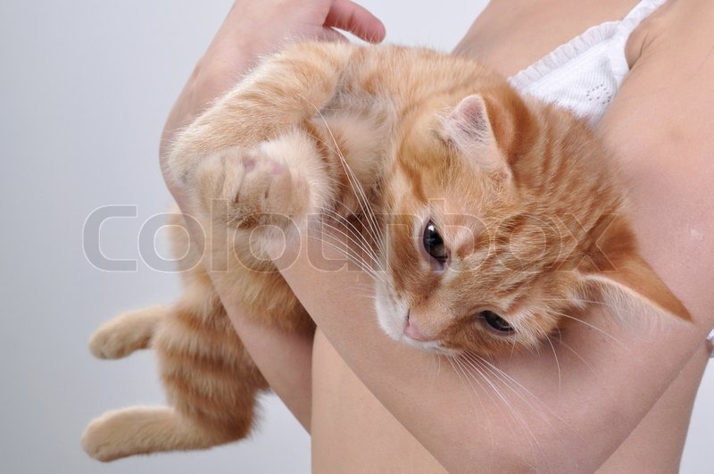 Sød pussy closeups