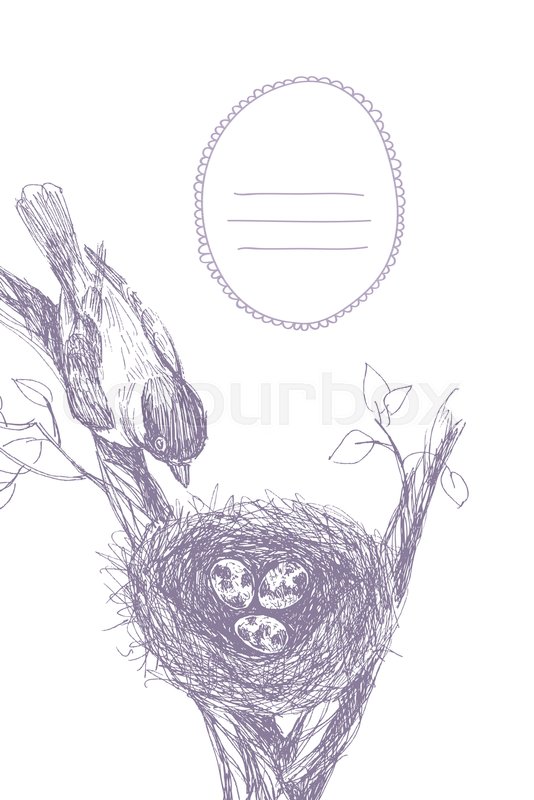 Vector Illustration Of Hand Drawn Nest With Spotted Eggs And Bird Graphic Style Beautiful Place For Text In Frame