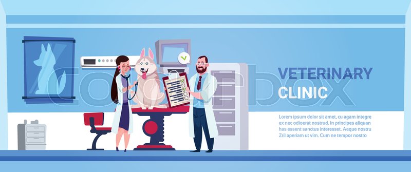 Vet Doctors Examining Dog In Clinic Stock Vector Colourbox