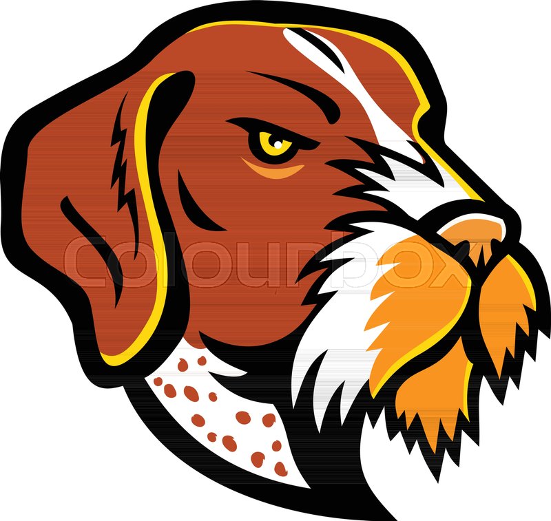 Mascot Icon Illustration Of Head Of A Stock Vector Colourbox