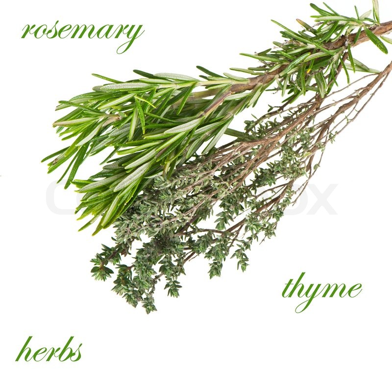 thyme herb