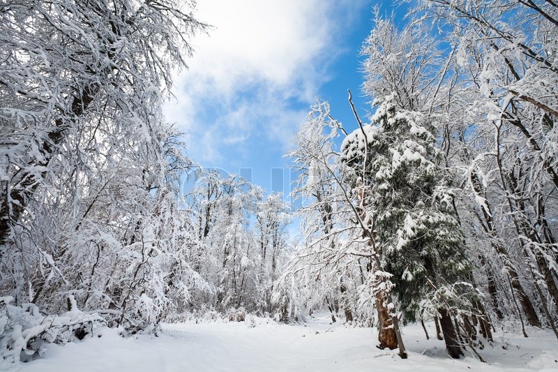 Snowbound Winter Earthroad Through Stock Image Colourbox