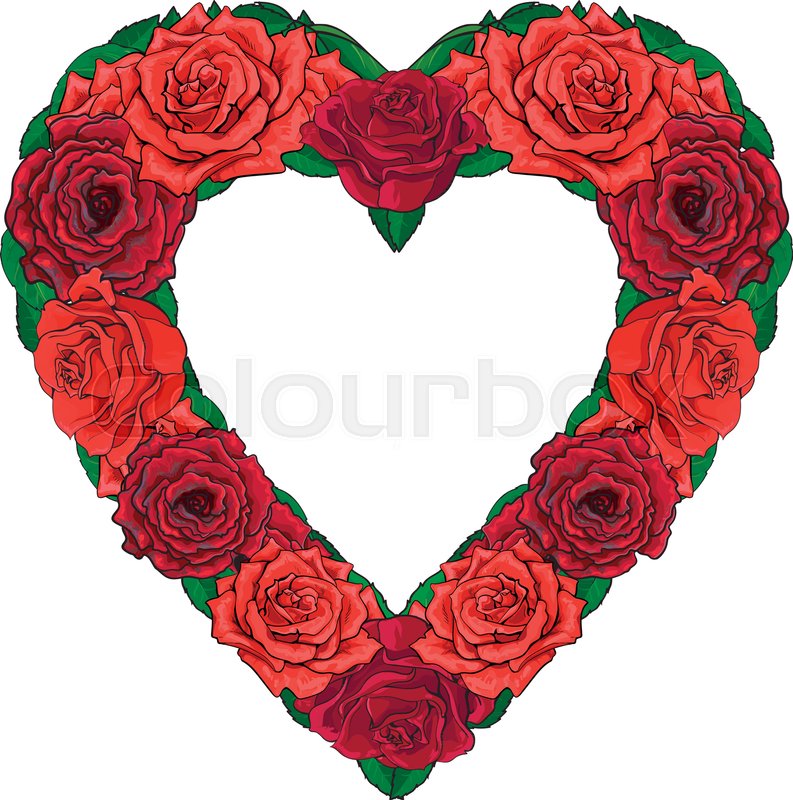 Red Roses With Leaves In Sketch Style Stock Vector Colourbox