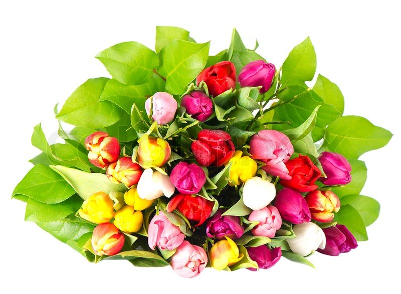 Bouquet of fresh spring tulip flowers ... | Stock image | Colourbox
