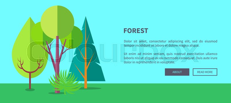 Forest Banner With Green Different Stock Vector Colourbox