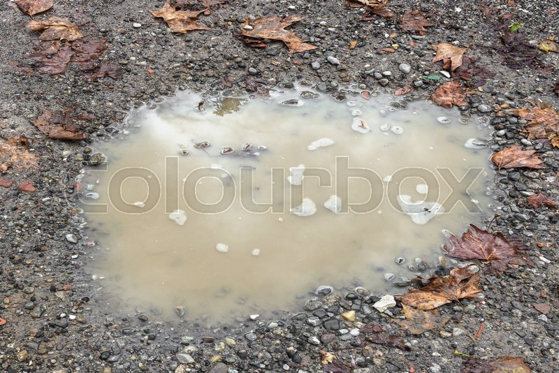 Puddle of water in rainy day | Stock image | Colourbox