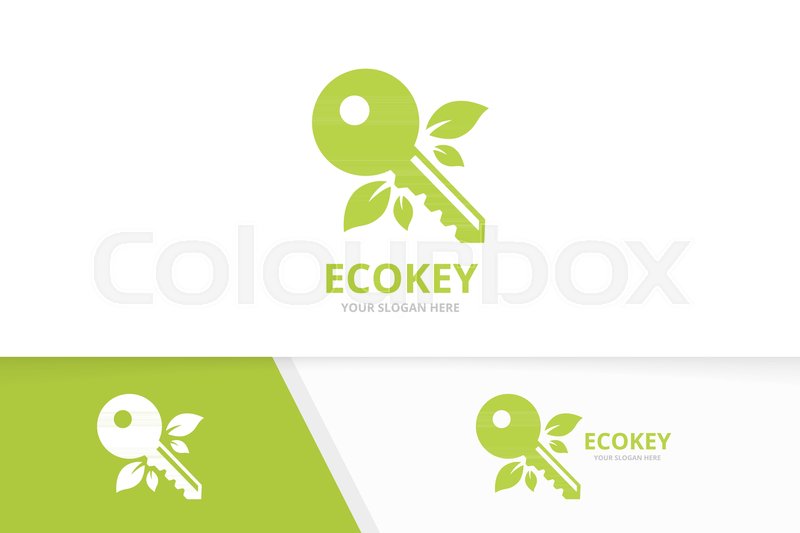 Vector Key And Leaf Logo Combination Stock Vector Colourbox