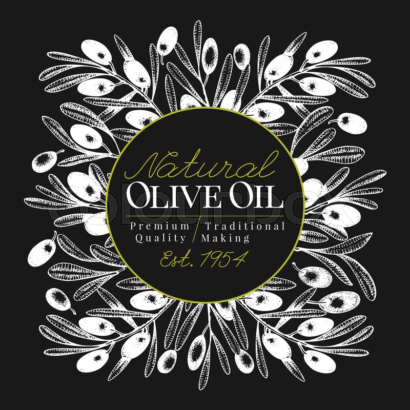 Olive Tree Banner Template Vector Stock Vector Colourbox
