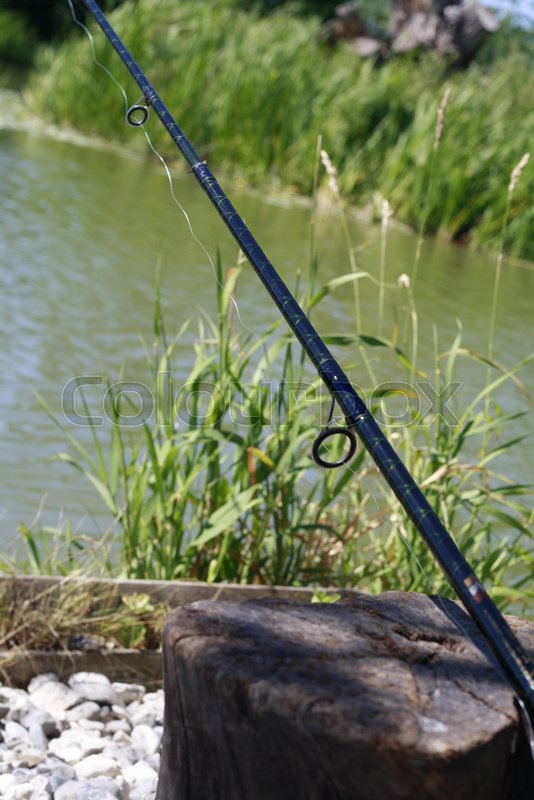 Fishing rod at the side of a lake Stock foto Colourbox