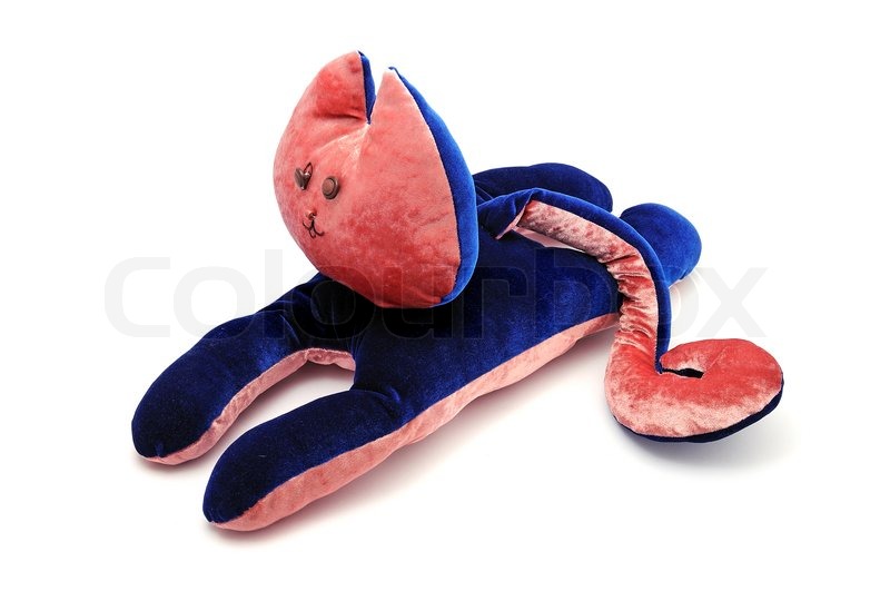 Soft toy cat on a white background Stock image Colourbox Soft toy cat on a white background Stock image Colourbox