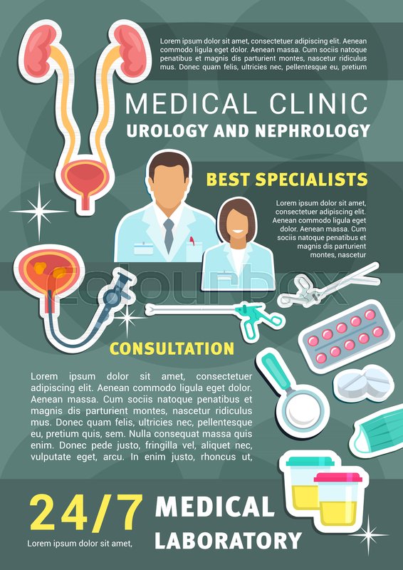 Urology And Nephrology Medical Clinic Stock Vector Colourbox