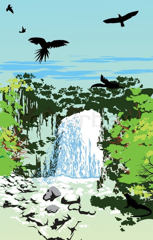 press flying z Stock the sky jungle Waterfall whit Vector the   in birds