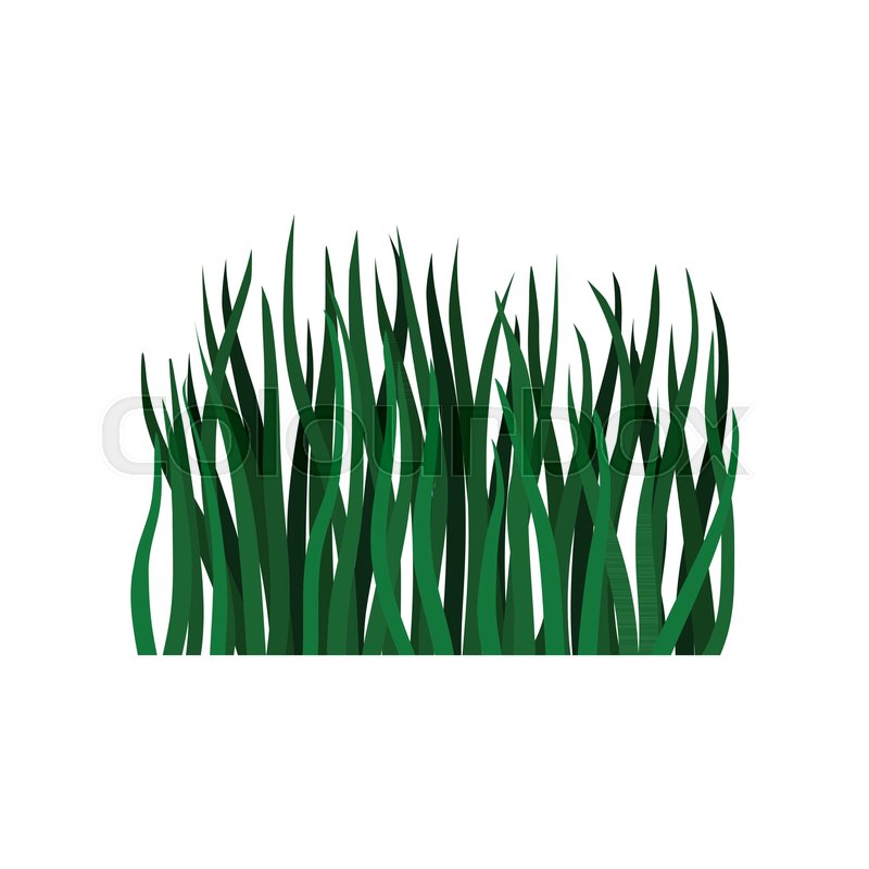 Illustration Of Long Green Grass Stock Vector Colourbox
