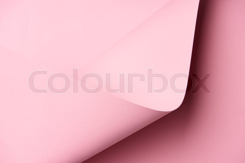 Close-up view of beautiful bright pink ... | Stock image | Colourbox