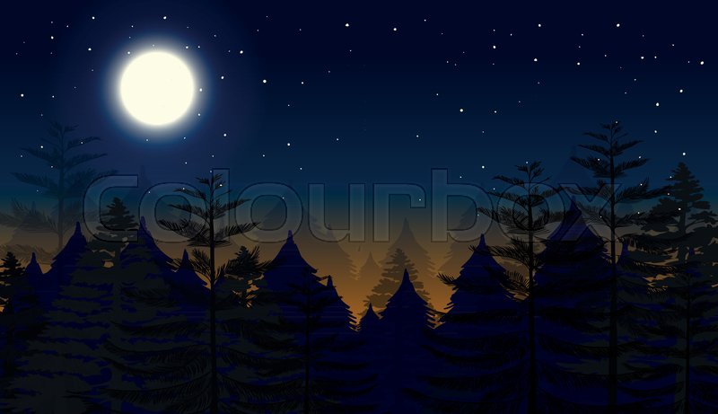 Night Forest Scene Background Stock Vector Colourbox