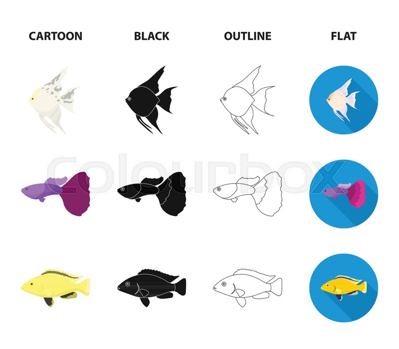 View Cartoon Guppy Fish Picture Images