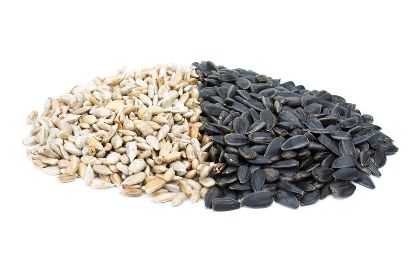 some black and shelled roasted sunflower seeds isolated on some black and shelled roasted sunflower seeds isolated on