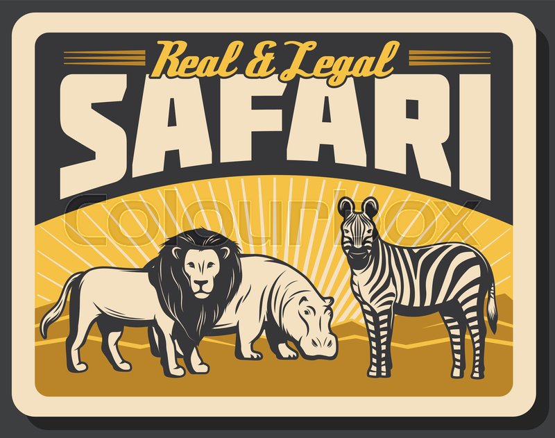 Safari Hunting Vintage Banner Stock Vector Colourbox
