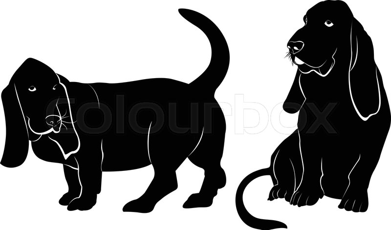 Basset Hound Dog Vector Silhouette Stock Vector Colourbox