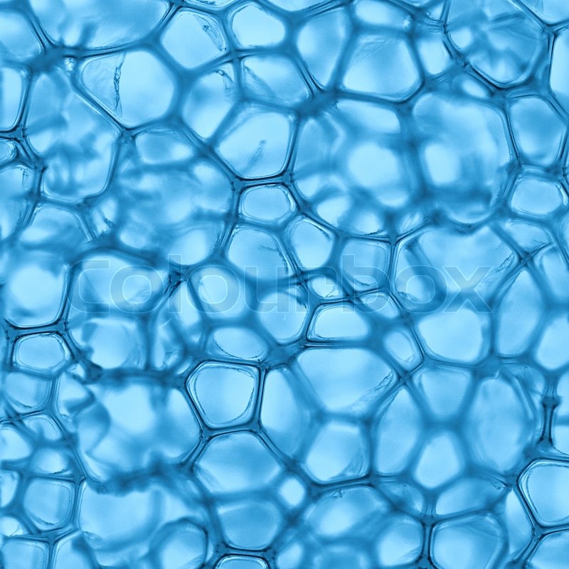 science cell wallpaper