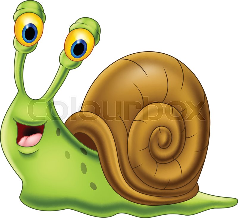 Vector illustration of Cute snail Stock vector Colourbox